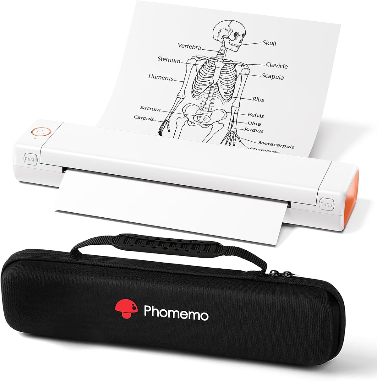 Phomemo M08F Portable Inkless Printer – Wireless Bluetooth Thermal Printer, 8.5" × 11" Letter - White / Printer + 10 Thermal Sheets + Case
