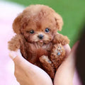 Realistic Robot Puppy – Interactive Pet Toy