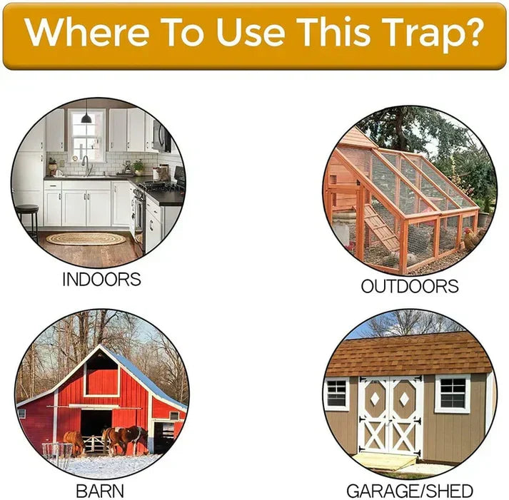 Bucket Lid Mouse Trap – Reusable Design
